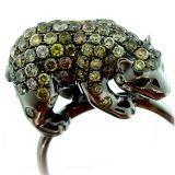Bear Ring